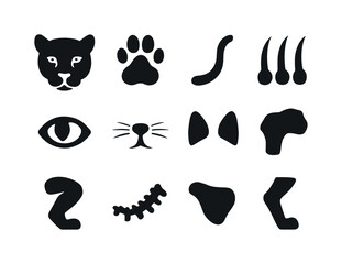 Leopard Anatomy Icons. Leopard anatomy. Solid icon set of leopar