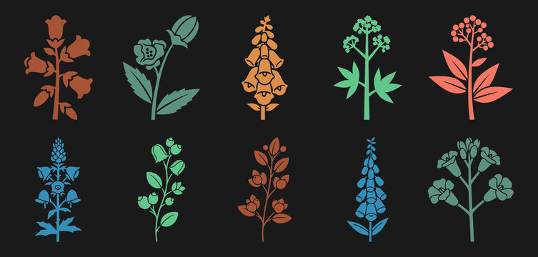 Toxic Garden Plants Wolfsbane Belladonna Foxglove Hemlock Oleander Castor Bean Black Background