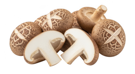 A group of whole and sliced brown mushrooms with decorative patterns on a transparent background