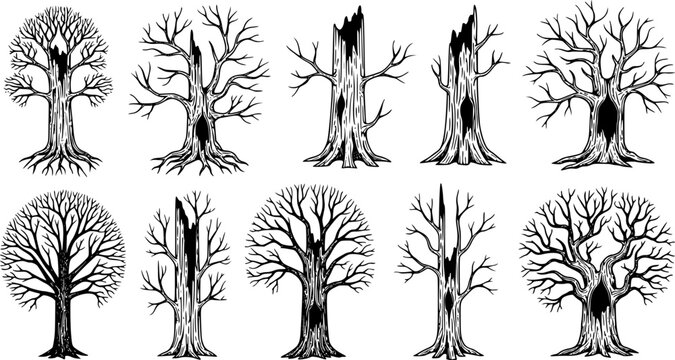 vector set of Isolated Concept Of Dead Trees Set
