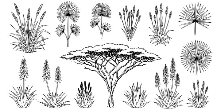 Tree top view outline collection, diverse foliage patterns, ideal for architectural plans, landscape designs, urban planning botanical illustrations, and garden