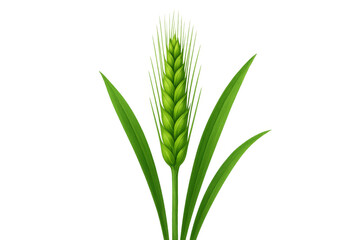 Obraz premium Green wheat plant growing, displaying young cereal grain ear with leaves, agriculture and harvest concept