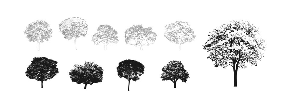 CAD project trees dwg