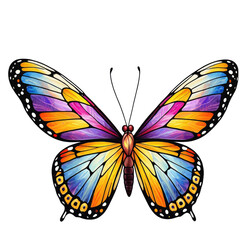 Obraz premium A bright and vibrant butterfly perched on a clean white surface. transparent background