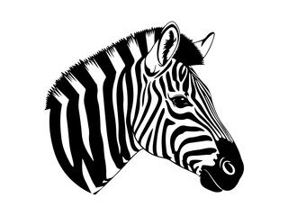 Obraz premium A striking black and white illustration of a zebra's head, showcasing its distinctive striped pattern.