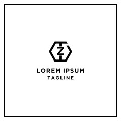 Fototapeta premium tz or zt hexagon logo