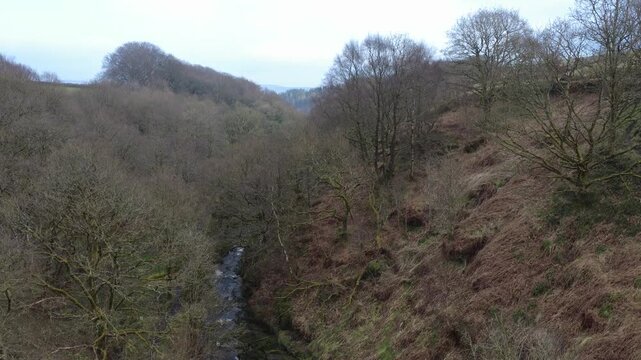 Colden water in the colden valley near hebden bridge in winter showing a stream flowing over rocks in a steep wooded valley