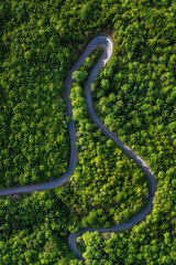 Aerial view of mountain winding road in Kakheti, Georgia. High quality photo