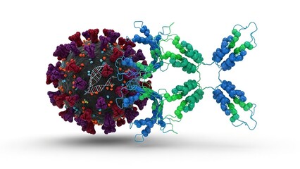 A molecular visualization of a virus and a Yshaped antibody structure on a white surface