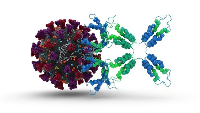 A molecular visualization of a virus and a Yshaped antibody structure on a white surface - Powered by Adobe