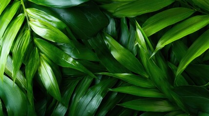 An overhead view of vibrant green leaves, illustrating the beauty and richness of nature, reflecting tranquility, life, and the soothing embrace of the outdoors.