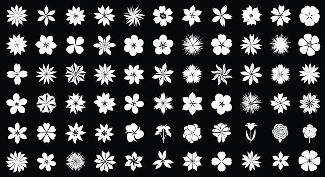 Large collection of white flower silhouette icons in various shapes and styles on a solid black background for design elements.