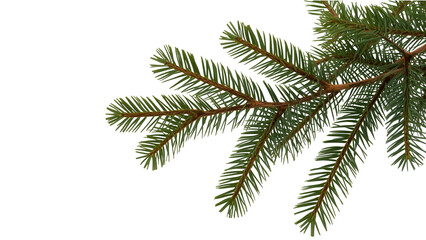 Obraz premium Fir Branch Clipart PNG Transparent Background – AI Generated