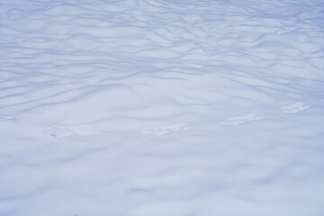 Fresh snow cover closeup. Winter bright snow texture.