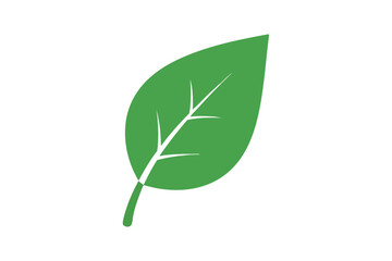 A simple, green, stylized leaf with white veins on a white background