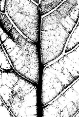 Black silhouette of a young girl jumping on a trampoline