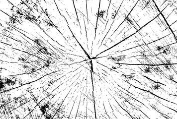 Completely Black Background With No Visible Content