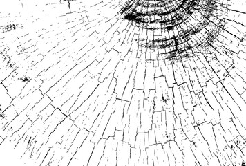 Silhouette of a Person Standing Against a Stark Black Background