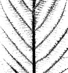 Silhouette of a person standing on a rocky outcrop against a dark sky