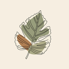 Minimalist Line Art of a Fig Leaf with Abstract Color Blocks.