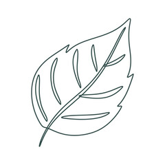 Simple Outline Drawing of a Single Leaf.