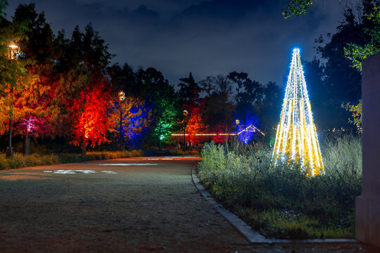 Curving park pathway lined with colorful illuminated trees and holiday light installations at night, creating a festive walking scene during winter celebrations.