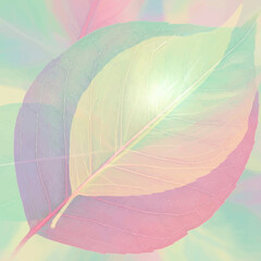 Delicate Skeletonized Leaf with Pastel Hues.