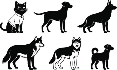 Cat Collar with Bell Vector Icon Set, Pet Accessories, Feline Safety, Leather, Buckle, Animal Outline, Simple Black Graphic, Different Styles