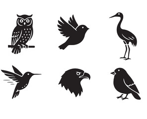Diverse Bird Silhouettes Set: Owl, Flying Bird, Crane, Hummingbird, Eagle Head, and Sparrow Icons