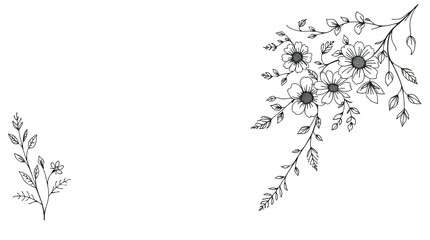 Fototapeta premium Delicate black and white botanical illustration of cascading flowers and leaves