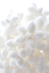 Soft focus macro of delicate white fluffy flower blossoms