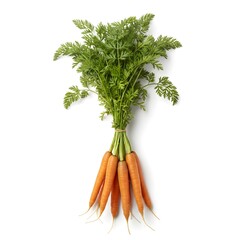 bunch of carrots on white background