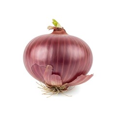 red onion isolated on white