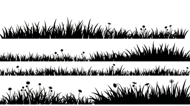 Black silhouette of wild grasses and flowers on white background