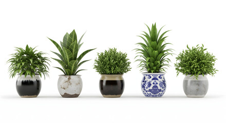 Fototapeta premium Verdant Ensemble: A curated collection of vibrant potted plants showcases a variety of lush foliage and textures. Each plant, housed in its unique container.
