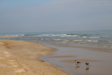 captured amazing moment of weather when the first snow fell from italy city of Pescara a shot was taken in the sea very muddy weather it was snowing and also a change of view of the sea