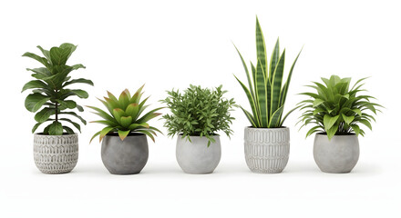 Fototapeta premium Botanical Harmony: An organized array of indoor greenery, including a fiddle-leaf fig and various other potted plants, create a sense of botanical serenity