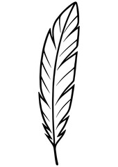 Fototapeta premium Black and white feather vector illustration. Perfect for engraving, laser engrave, prints and creative projects. Clean line art design