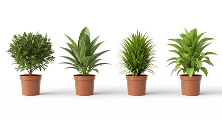 Fototapeta premium Green Life Quartet: A collection of four potted plants, each showcasing a unique foliage type, symbolizing growth and the beauty of nature's variety.