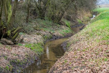 Winding stream flowing through rural forest landscape