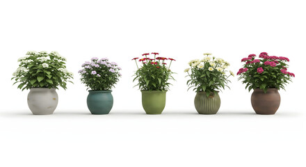 Fototapeta premium Blooming Beauty: An array of vibrant potted flowers, showcasing a spectrum of colors and botanical diversity, adds a touch of natural elegance