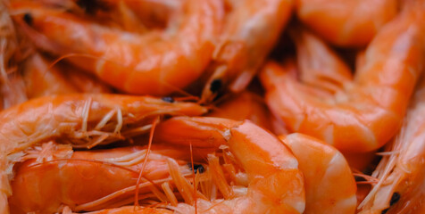 An extreme close-up macro shot of a pile of fresh, whole cooked shrimps, filling the entire frame to create a textured food background.