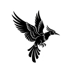 Black bird flying with wings spread out
