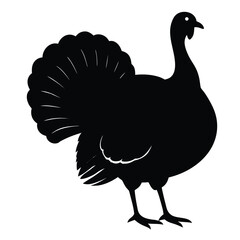Turkey bird black silhouette vector illustration isolated on white background with tail feathers