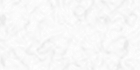 White topography topology vector white background fresh contour map texture. white seamless pattern Abstract background with a wave Topography and geography map grid abstract backdrop.