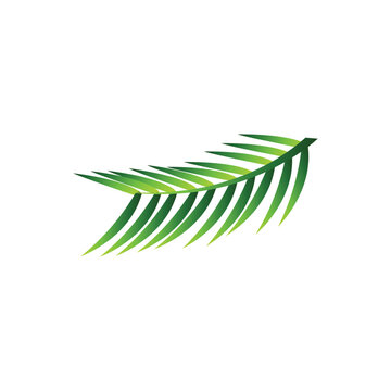 Original name(s): Tree Bough, Knur, Knurr Design, Lota. pata