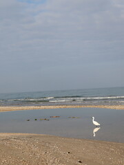 captured amazing moment of weather when the first snow fell from italy city of Pescara a shot was taken in the sea very muddy weather it was snowing and also a change of view of the sea