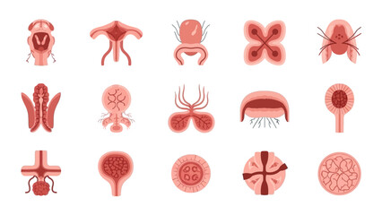 Abstract Organic Shapes and Biological Forms in a Repeating Pattern