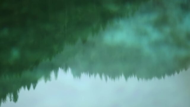 Abstract forest reflection on calm water surface