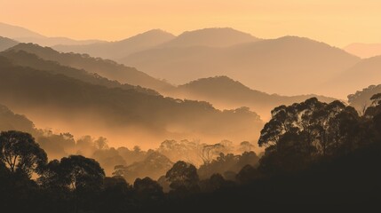 Naklejka premium Layers of Misty Mountain Ranges and Forest at Sunset or Sunrise